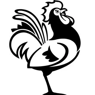 FTM Essentials discount code